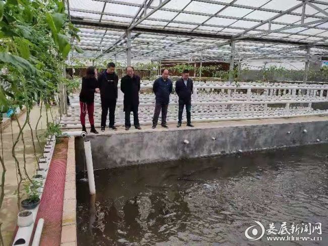 （图为调研现场） (1)
