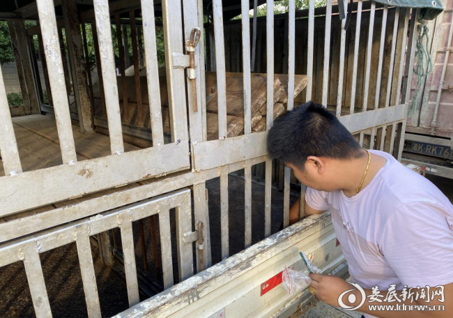 （对运输车辆进行环境拭子采样）