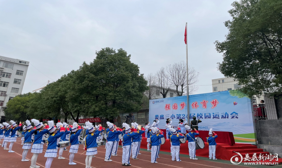 图片3