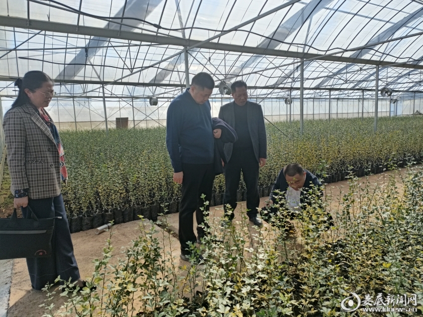 （邱胜平一行走访祥兴公司各生产车间和育苗大棚）
