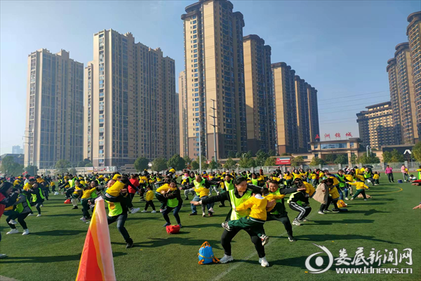 图片3