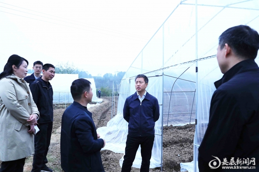 △实地察看蔬菜大棚租赁项目1
