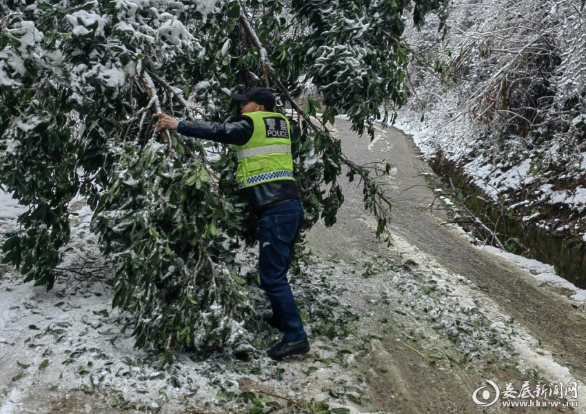 （清除被冰雪压弯的树枝）