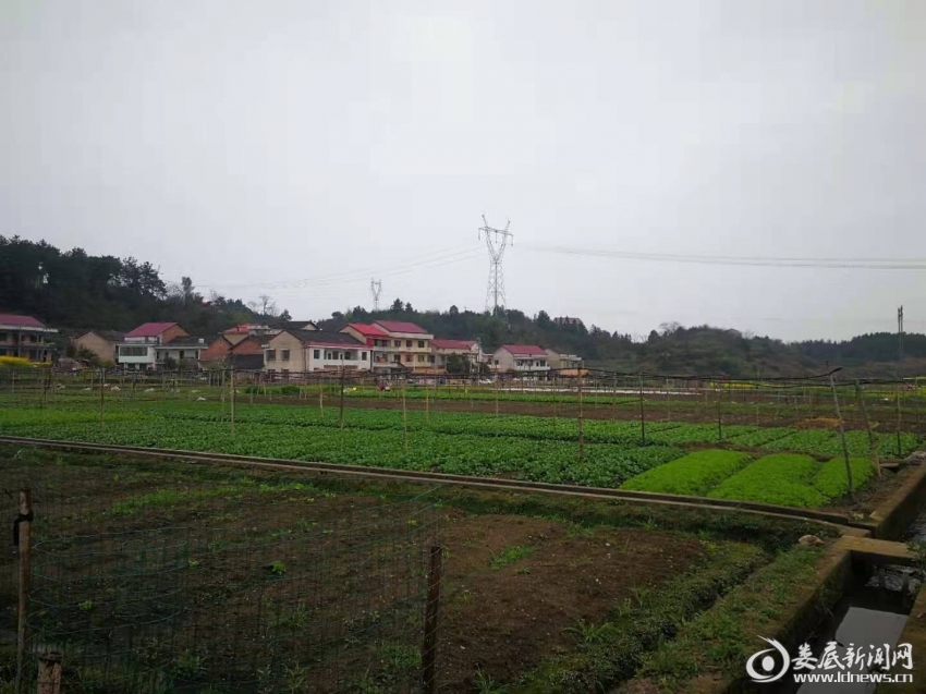 微信图片_20220219215924