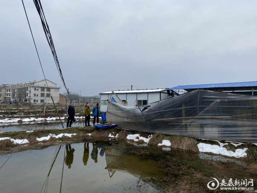 （实地察看灾情）