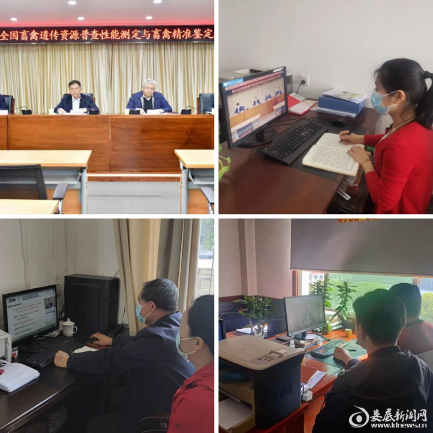 （收听收看现场）