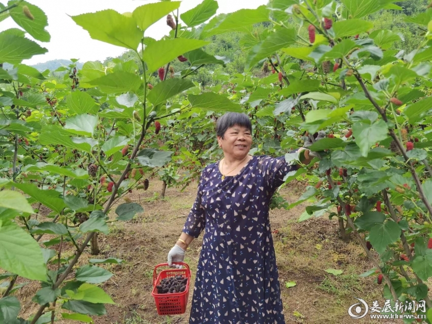 微信图片_20220428201711