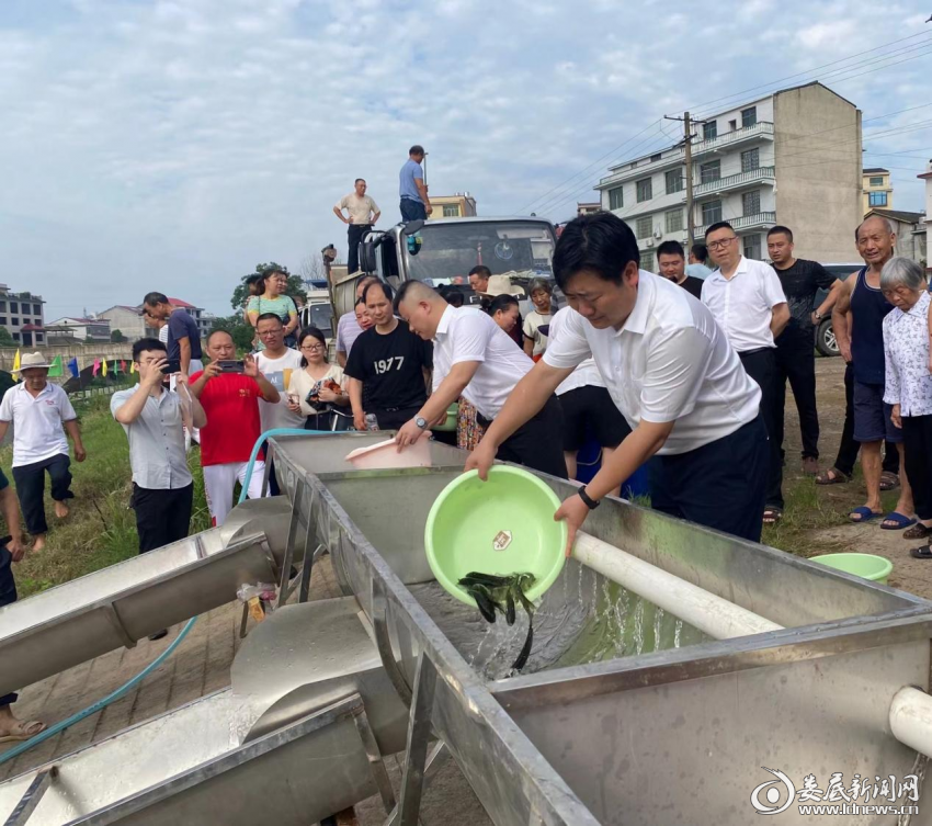 （6月29日，双峰县组织开展水生生物增殖放流活动）