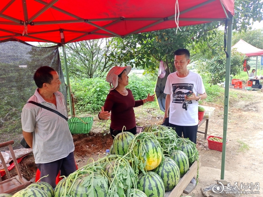 微信图片_20220705113645