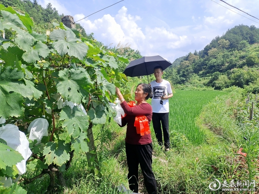微信图片_20220705113702