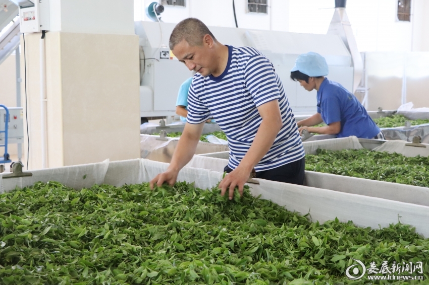 微信图片_20220719150241