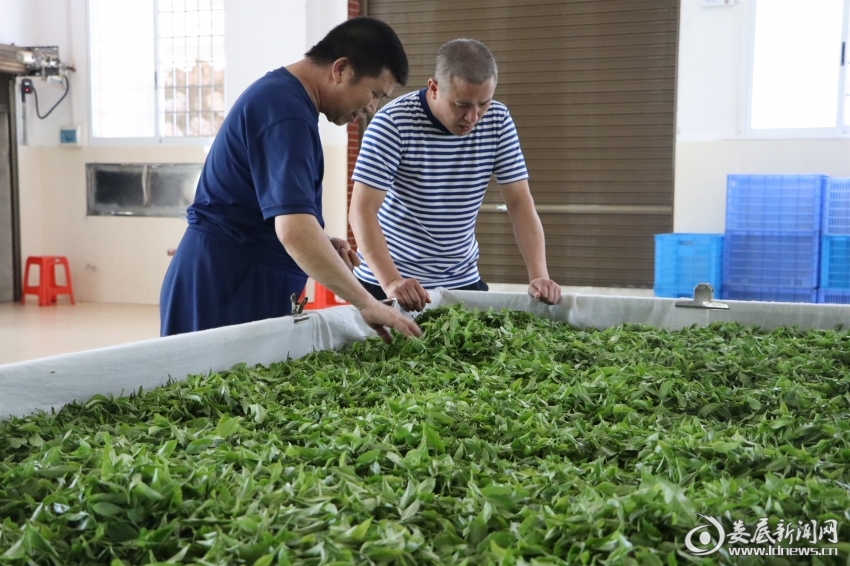 微信图片_20220719150242