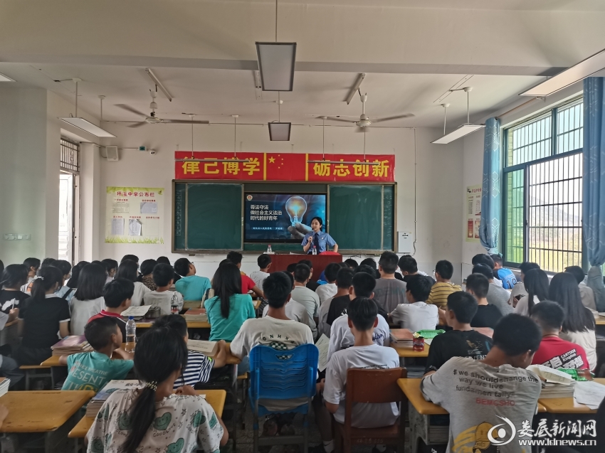 图片1