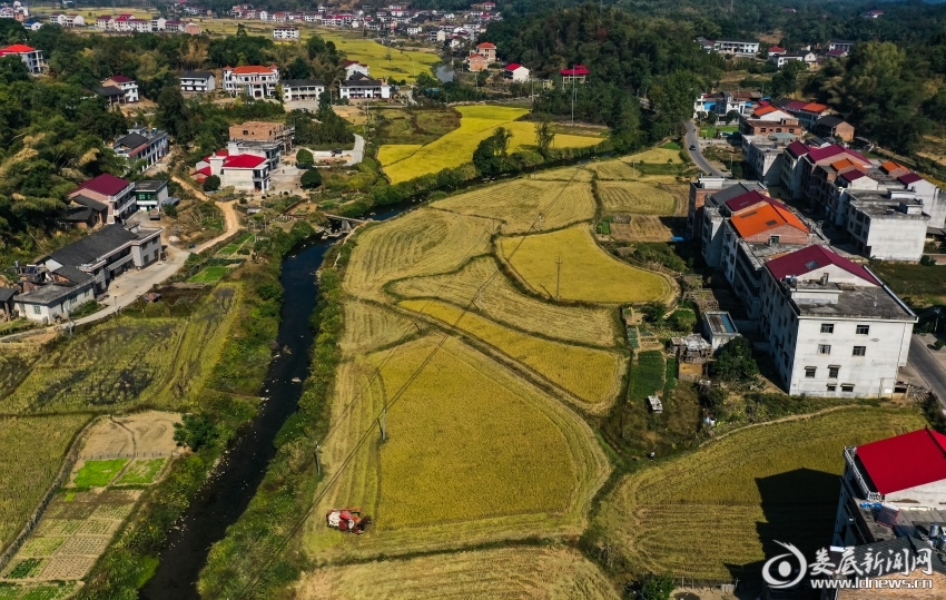 DJI_0780