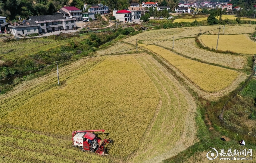 DJI_0785