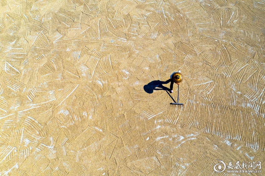 DJI_0827