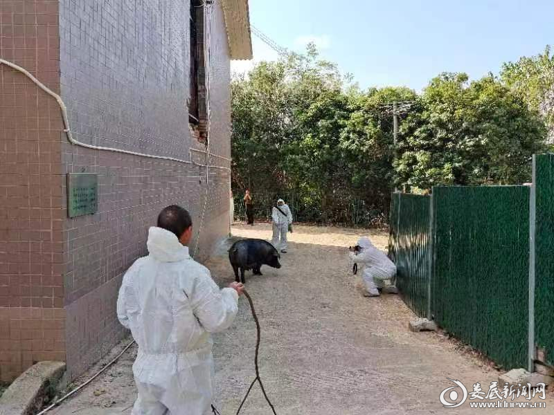 （调研拍摄现场）