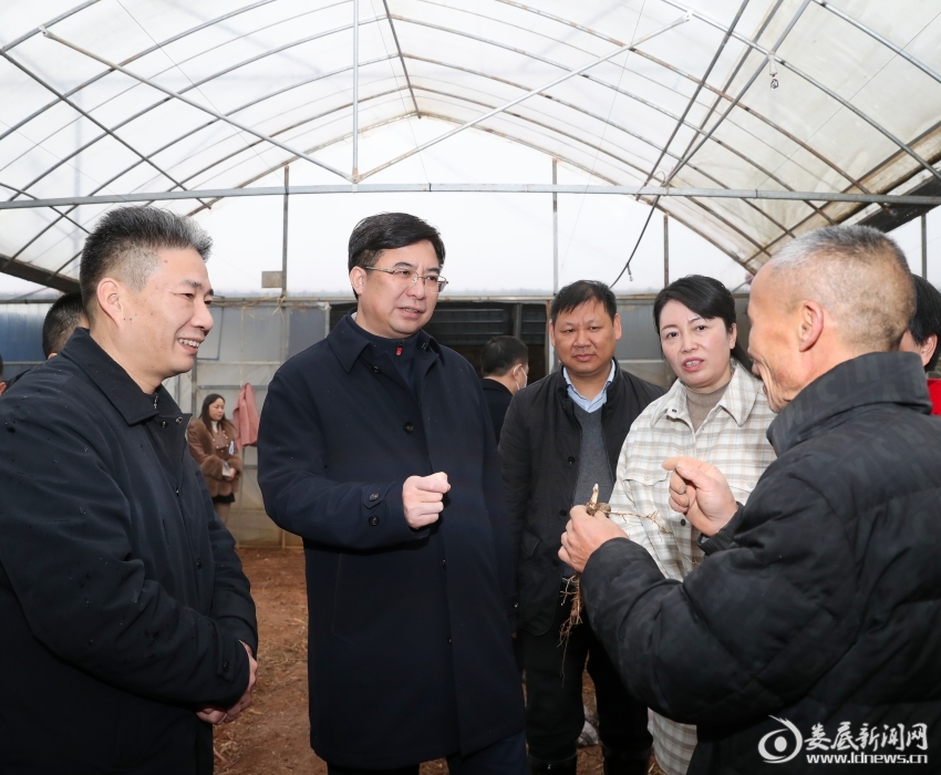 △在石冲口镇合龙村鼎峰农业合作社