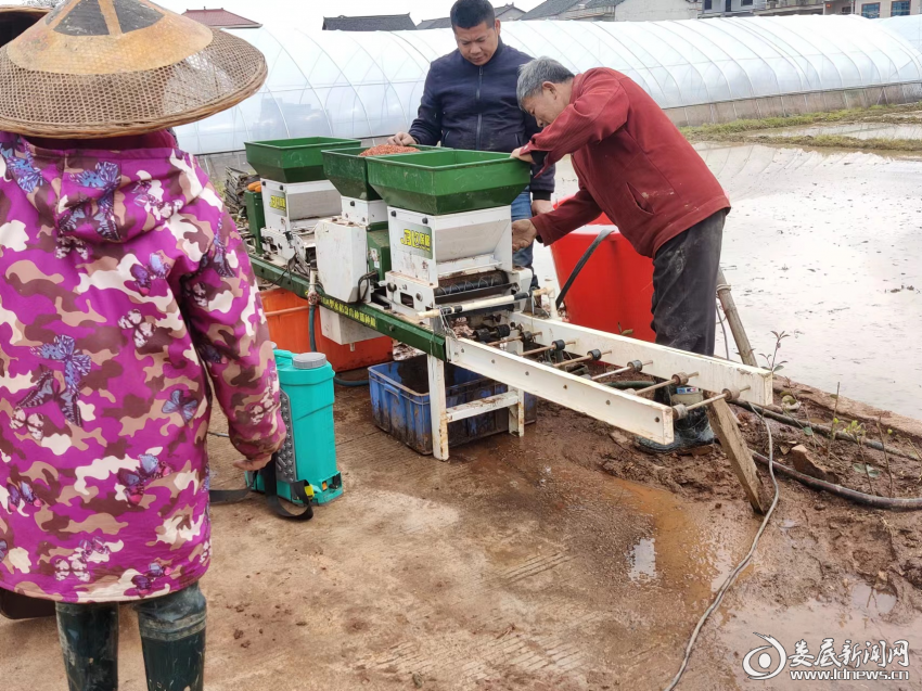 （调研组在涟源市洄水村了解水稻流水线育秧情况）