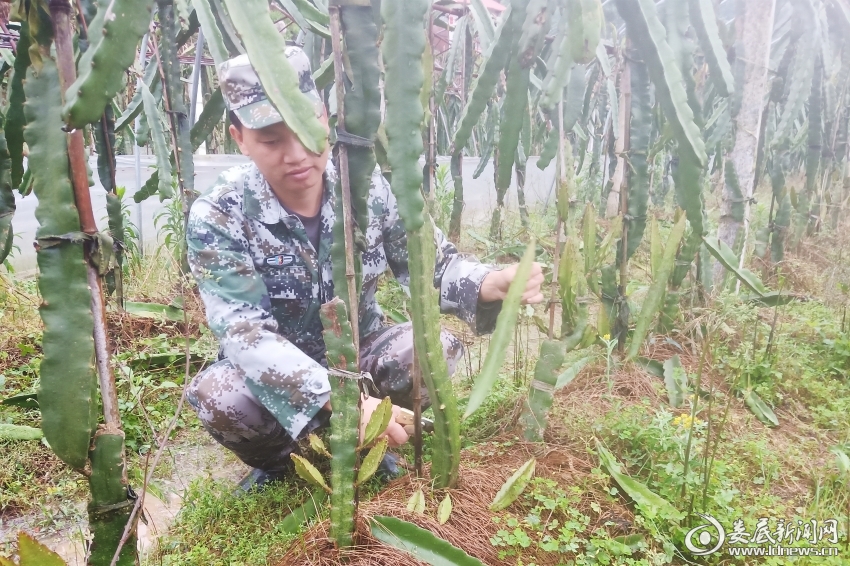 微信图片_20230328190445