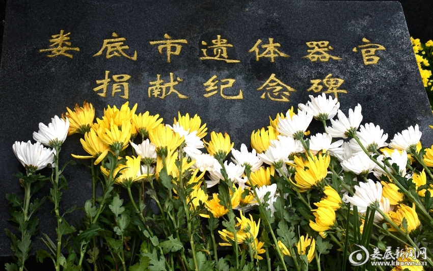 DSC_4936_副本