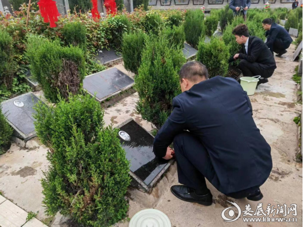 （统一擦拭墓位墓碑）