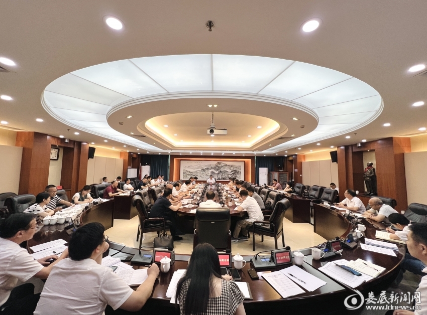 湘中医院（城南医院）项目建设领导小组组长调度会