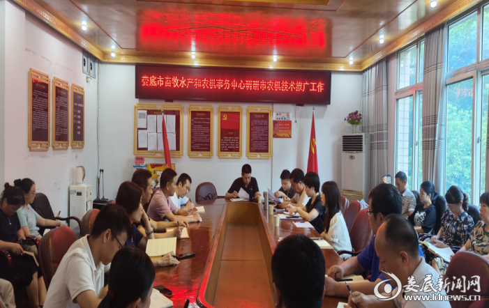 （座谈会现场）