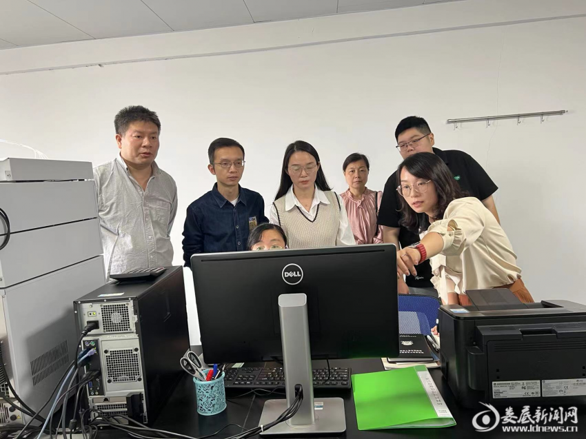 （专家核对现场实验的上机图谱、数据）