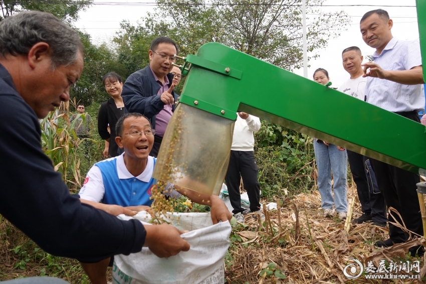 脱粒大豆王米袋装现场。王玖华摄