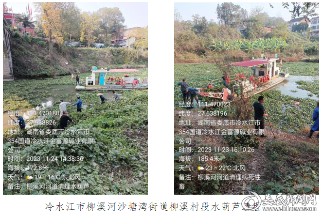 QQ图片20231126200152