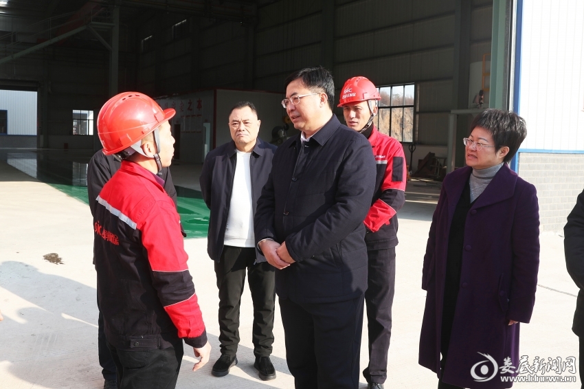 在娄星区调研西科环保项目建设