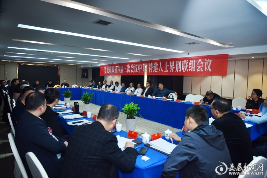 06 图片 中共 特邀人士