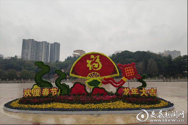 图片3