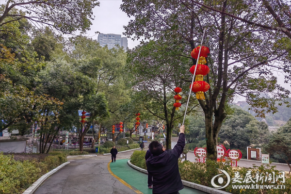 图片4