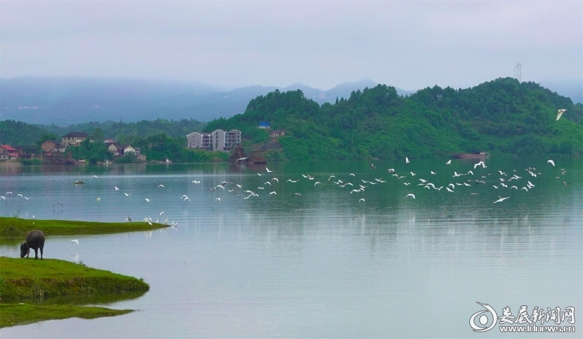 2.鹭舞龙湾