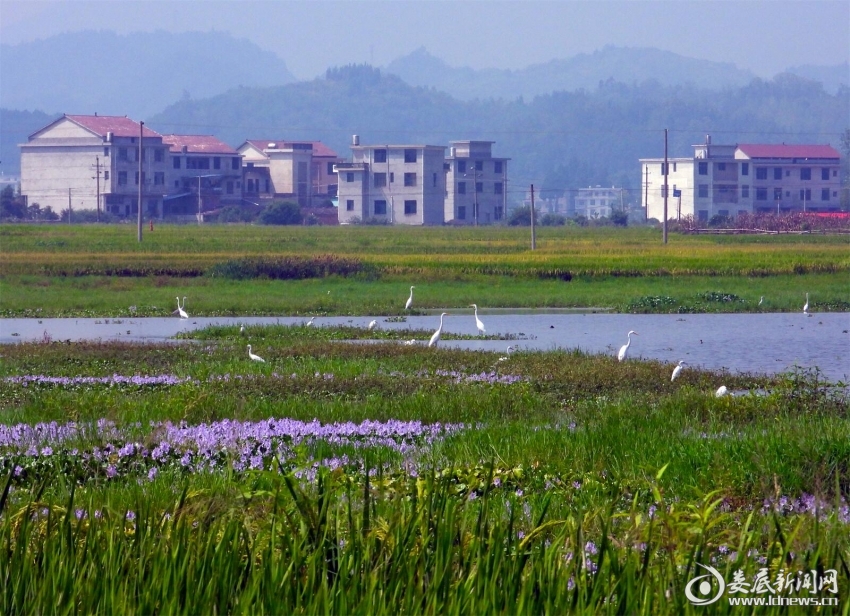 4.家园如画
