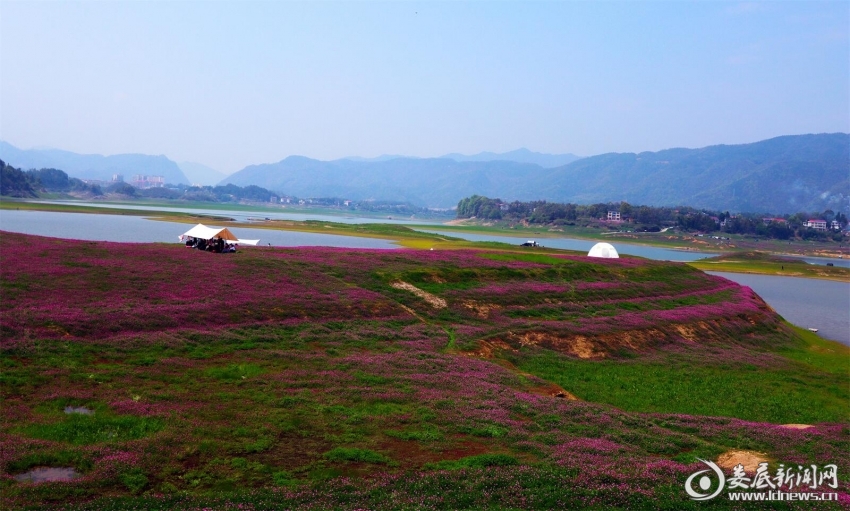 8.水云间