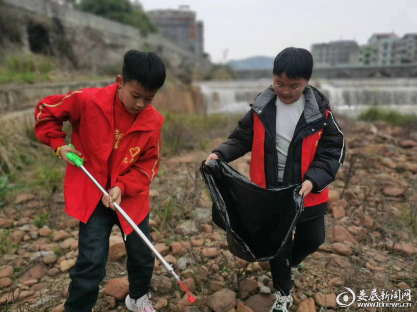 图片3