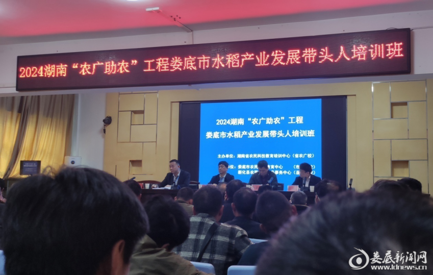 图片5