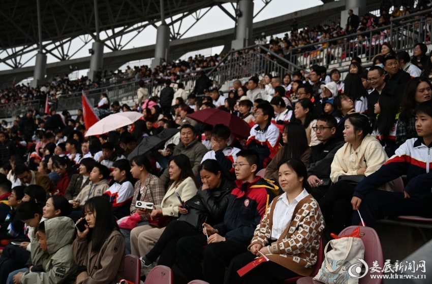 微信截图_20240406212656