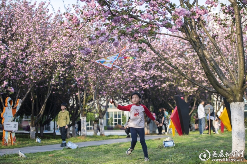 快捷方式 material_660ff375a022b