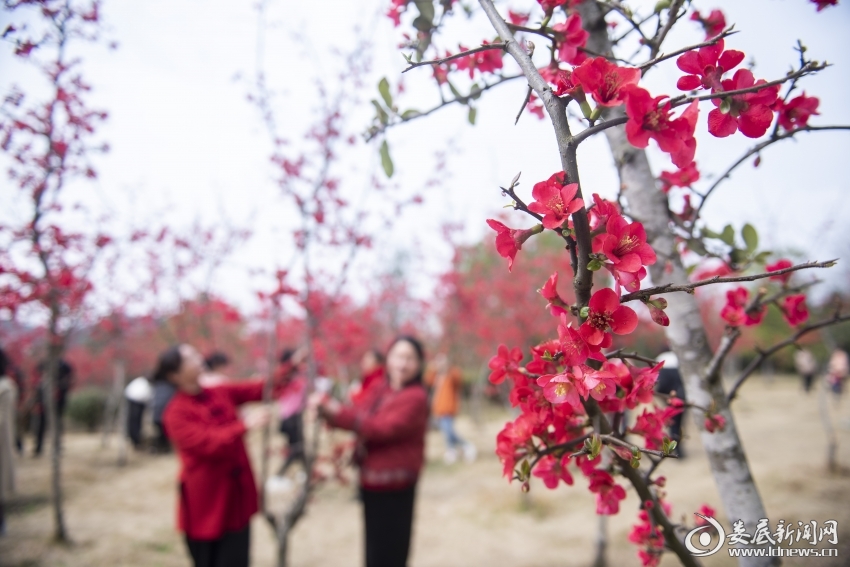 快捷方式 material_660ff3bc07a3e