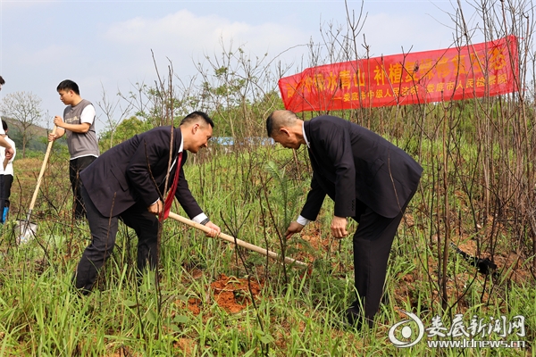 微信图片_20240415103322_副本