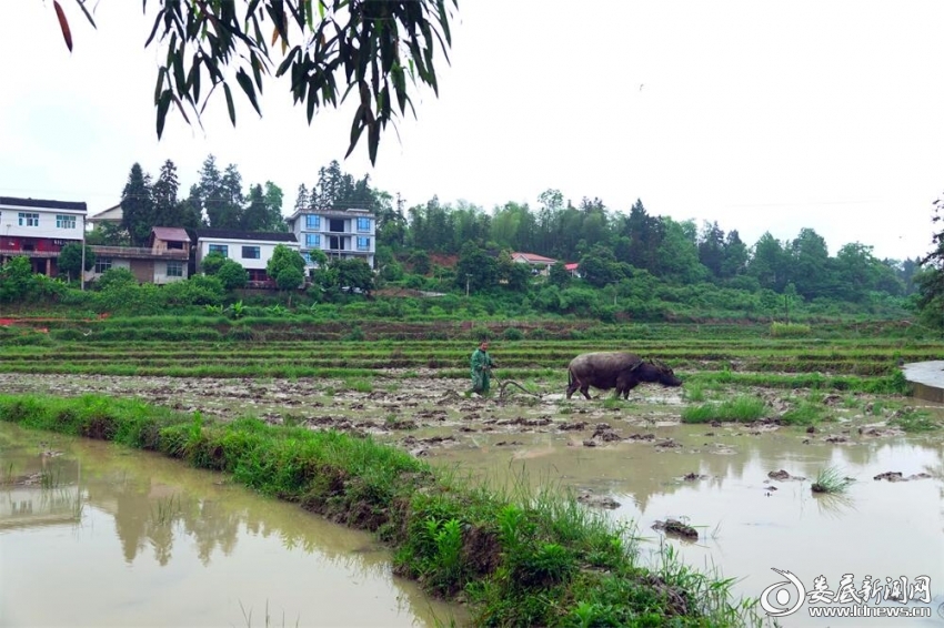 4.春催農事動，漸快一犁人。