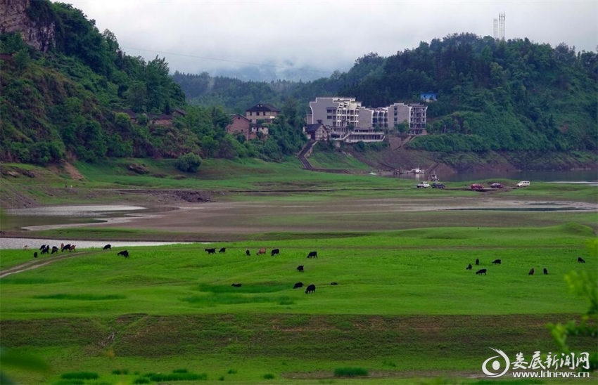 9.晨煙半濕低平野，春水初生映草青。