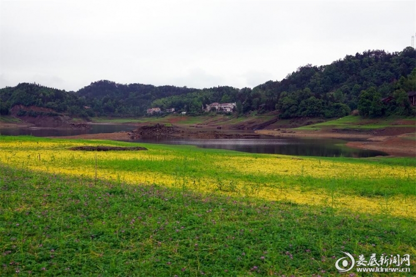 10.滿地濕云收未盡，一簾花影不分明。