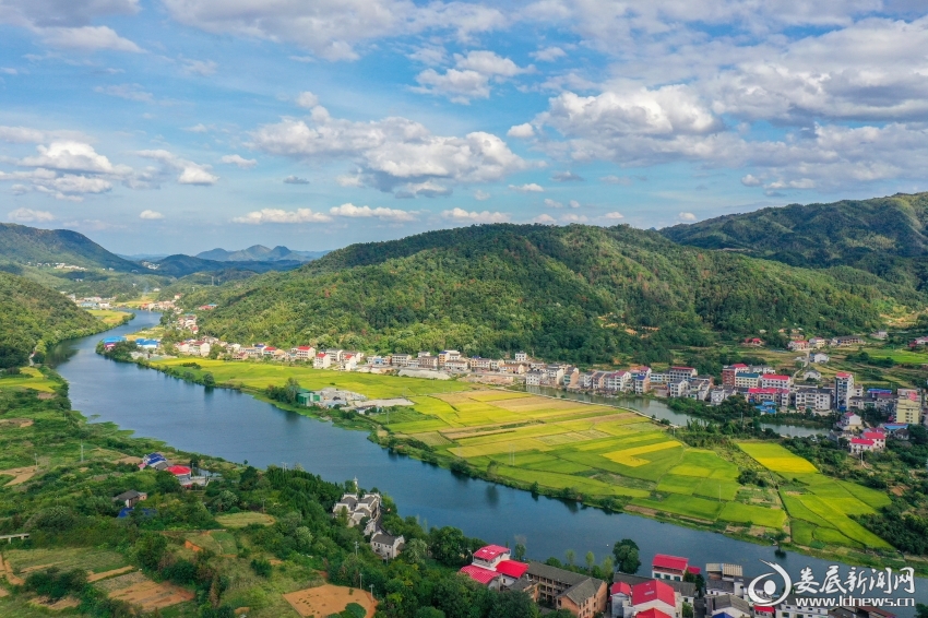 ade11e58b60ac37d8e6013224ca6d710