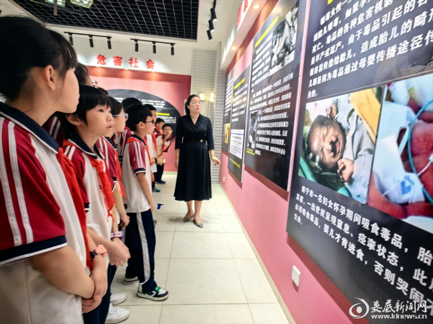 图片6