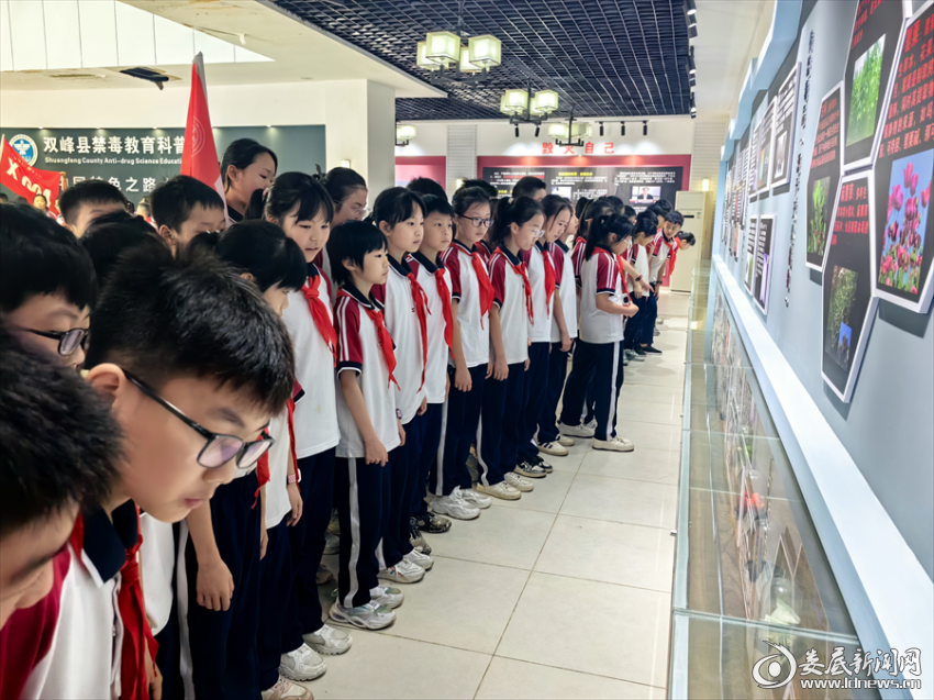 图片8